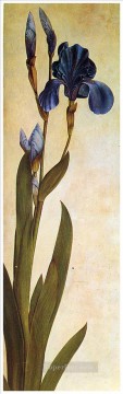 Iris Troiana Albrecht Durer flores clásicas Pinturas al óleo